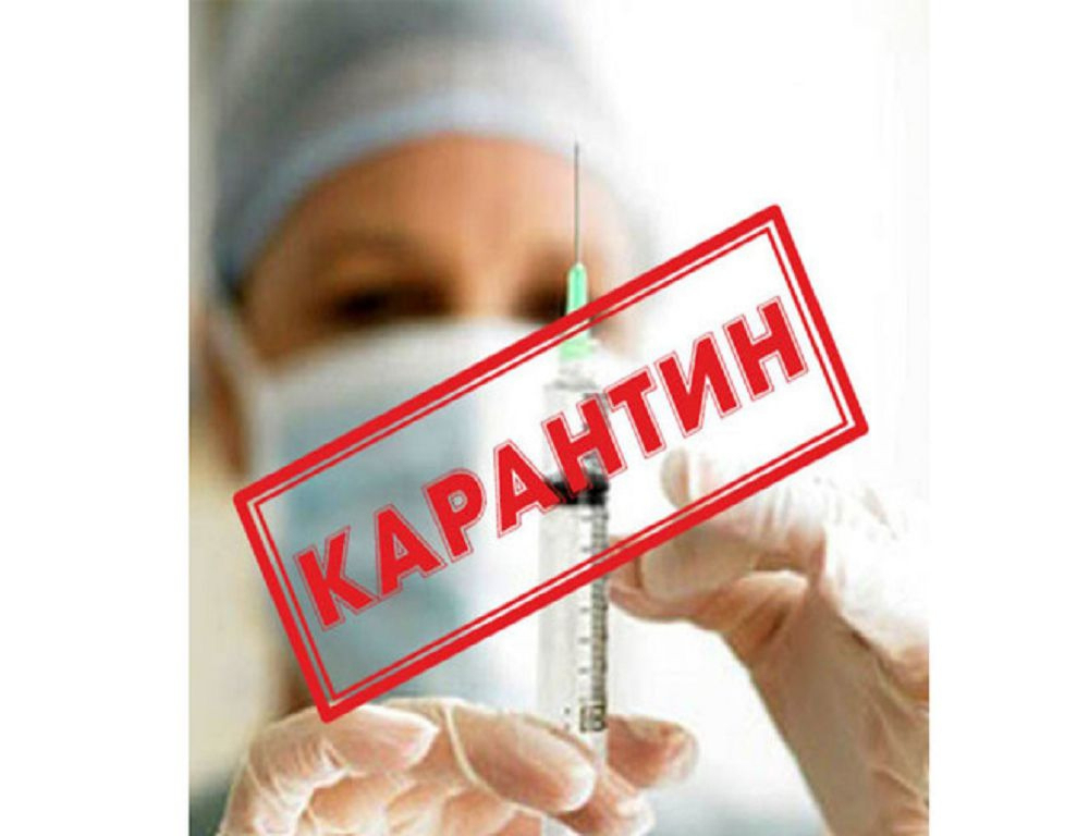 Привезли опасную инфекцию из Анапы, утверждает известный сайт в Екатеринбурге Привезли опасную инфекцию из Анапы, утверждает известный сайт в Екатеринбурге