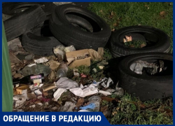 Денис Фёдоров просит разобраться с мусором на ул. Краснодарской в Анапе Денис Фёдоров просит разобраться с мусором на ул. Краснодарской в Анапе