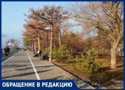 Александр Иванов считает, что в Анапе только 30% пешеходных дорожек соответствуют нормам Александр Иванов считает, что в Анапе только 30% пешеходных дорожек соответствуют нормам