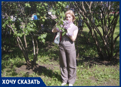 Светлана Кожевникова предлагает обустроить в Анапе «кошачьи городки» Светлана Кожевникова предлагает обустроить в Анапе «кошачьи городки»