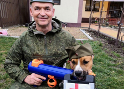 В Анапе прошёл конкурс, где победитель со своим хозяином и в огонь и в воду! В Анапе прошёл конкурс, где победитель со своим хозяином и в огонь и в воду!