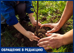 Владимир Крапива предлагает высадить деревья напротив дома на улице Ленина, 136, в Анапе Владимир Крапива предлагает высадить деревья напротив дома на улице Ленина, 136, в Анапе