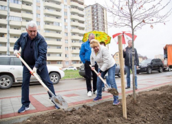К озеленению сквера на бульваре Евскина приложил руку мэр Анапы К озеленению сквера на бульваре Евскина приложил руку мэр Анапы