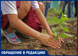 Анапчанин Владимир Сергеевич предлагает высадить деревья на улице Ленина Анапчанин Владимир Сергеевич предлагает высадить деревья на улице Ленина