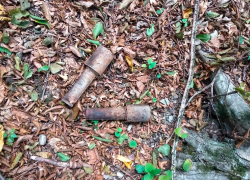 В гостагаевском лесу под Анапой нашли две гранаты РГ-42 и взорвали их. (Видео) В гостагаевском лесу под Анапой нашли две гранаты РГ-42 и взорвали их. (Видео)