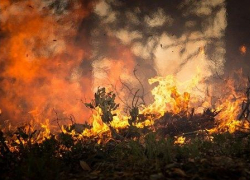 Пожар под Анапой тушили 13 человек: была реальная угроза жилым домам Пожар под Анапой тушили 13 человек: была реальная угроза жилым домам
