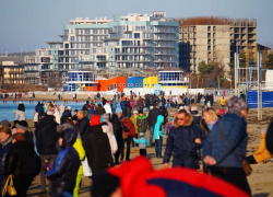Лебеди, "моржи", заполненные пляжи: 1 января в Анапе Лебеди, "моржи", заполненные пляжи: 1 января в Анапе
