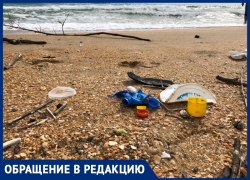 Андрей Берг предложил, как можно очистить пляжи Анапы от мусора Андрей Берг предложил, как можно очистить пляжи Анапы от мусора