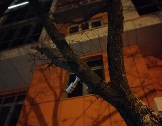 В Анапе уличные видеокамеры висят прямо на деревьях В Анапе уличные видеокамеры висят прямо на деревьях