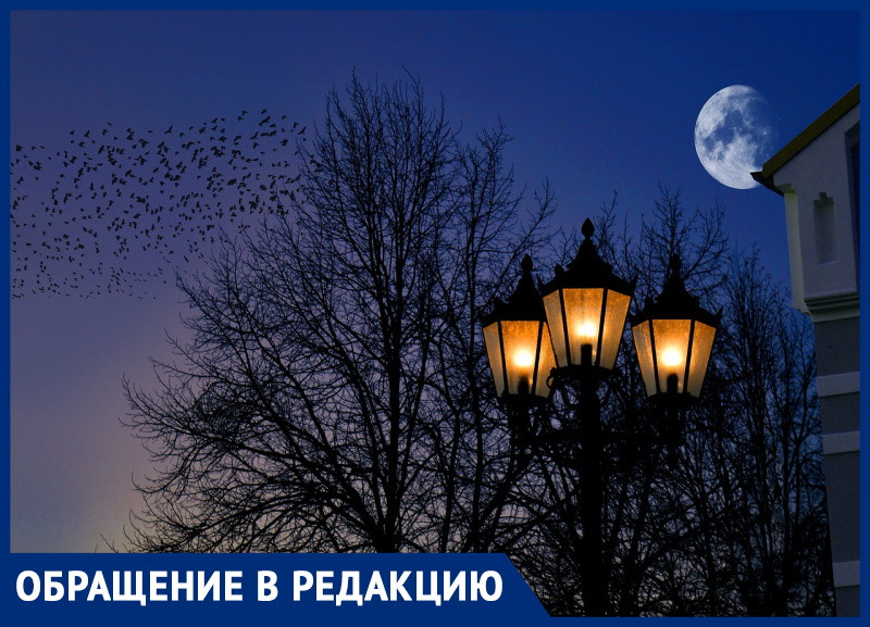 Яна Гопеева жалуется, что в Бужоре под Анапой нет уличного освещения Яна Гопеева жалуется, что в Бужоре под Анапой нет уличного освещения