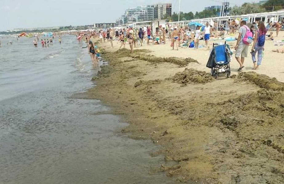 Мы нос воротим от камки, а в 19-м веке в Анапу специально приезжали ради нее Мы нос воротим от камки, а в 19-м веке в Анапу специально приезжали ради нее