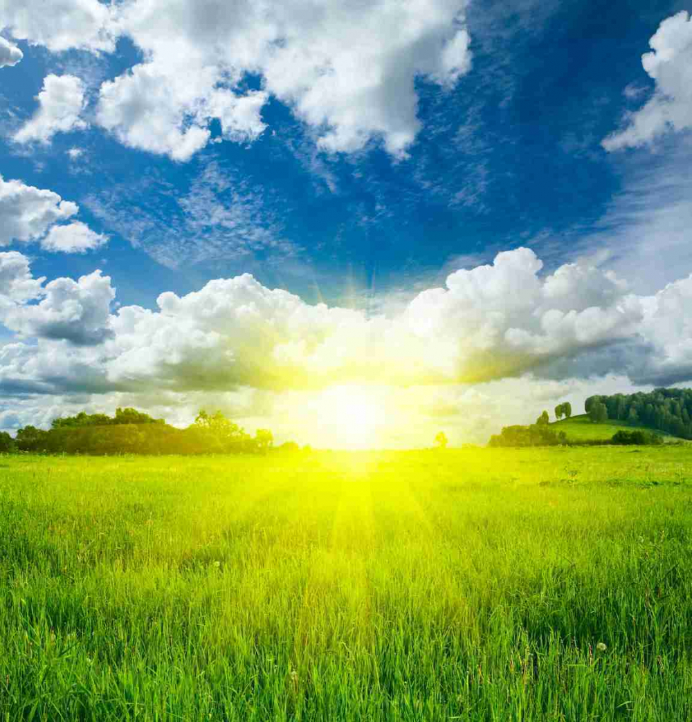 Ясный солнечный день будет в Анапе 4 июля