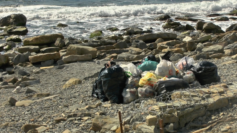 Куда делся мусор, собранный на субботнике «Наше море» в Анапе?