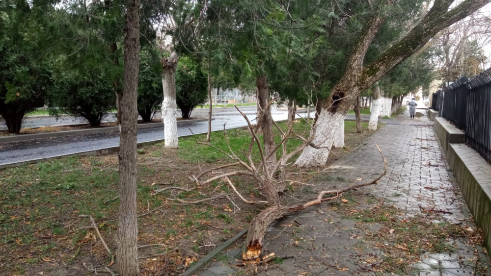 Анапу затопило, на улице Крымской движение затруднено из-за сломанных деревьев