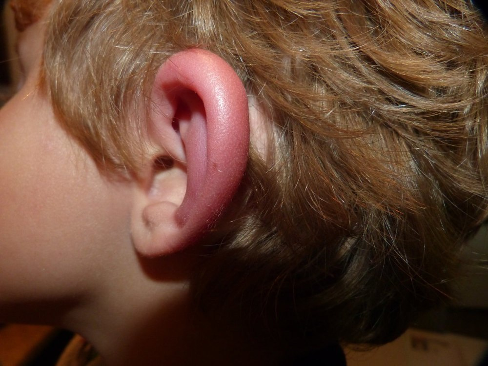Шестилетнему ребенку пригрозила оторвать уши воспитатель детского сада Анапы