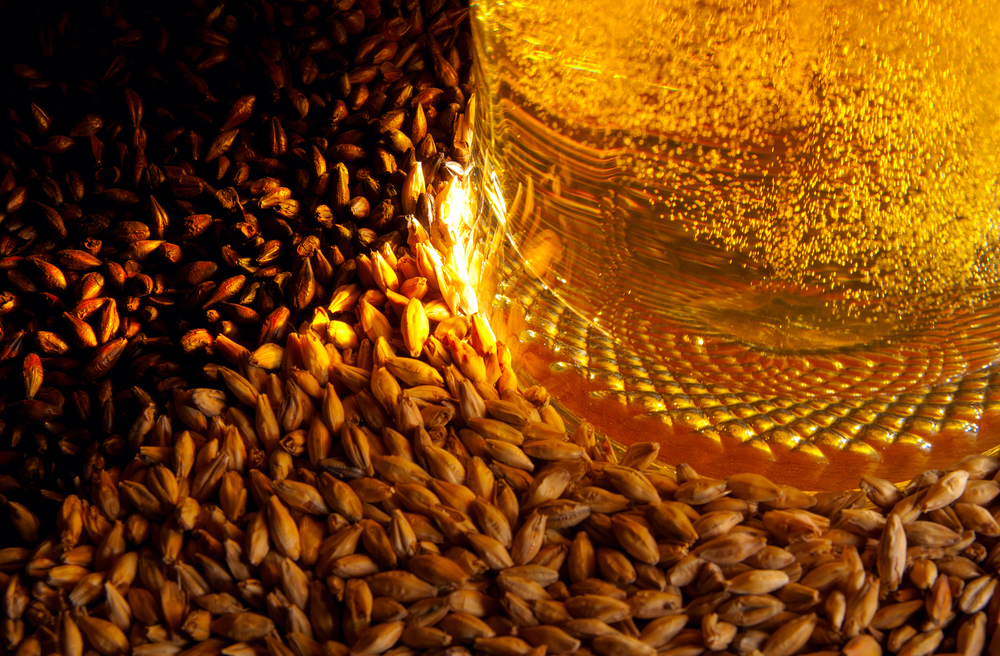 Тревожная новость для анапских любителей пива: напиток может подорожать в 2 раза