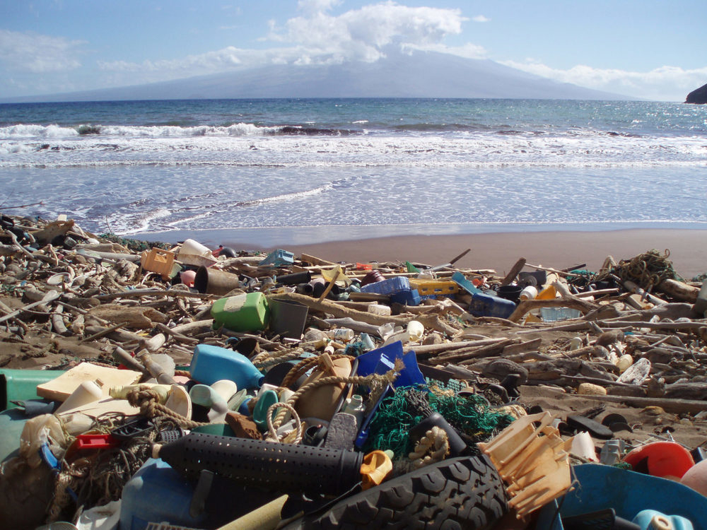 Море обрушило на Анапу 2 тысяч тонны мусора