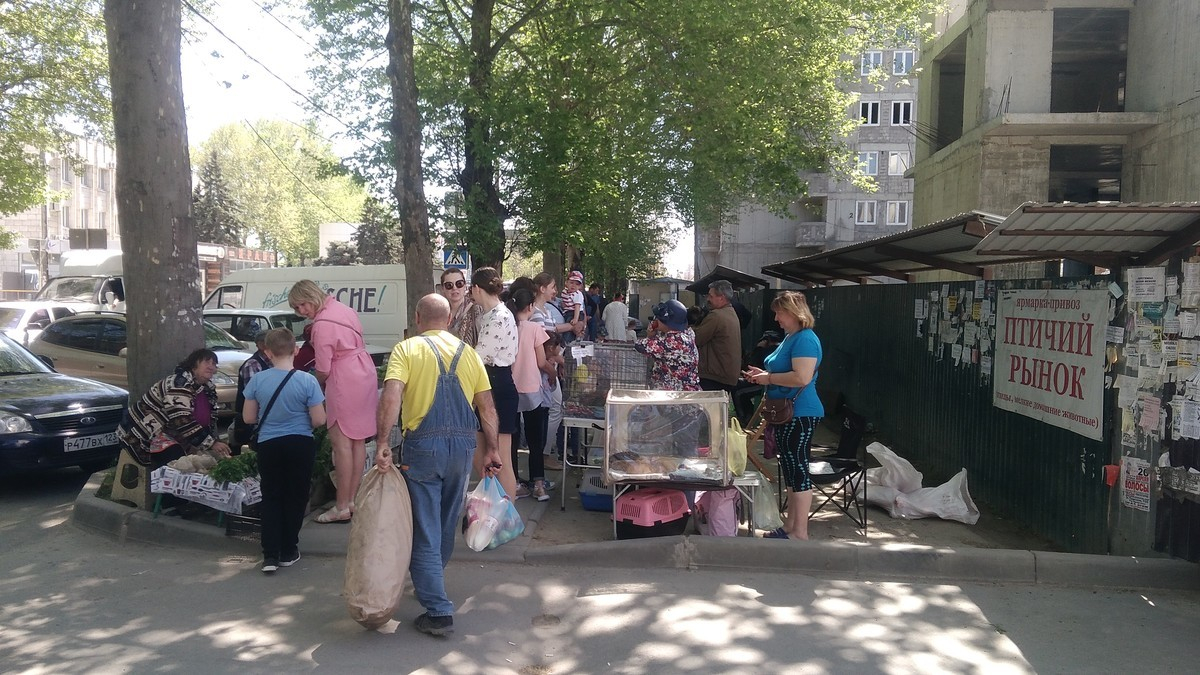 Матрасы на птичьем рынке