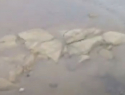 На берегу речки Можепсин в Анапе обнаружили кладку, похожую на античную