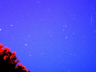 Сегодня ночью анапчане могут наблюдать звездопад