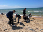 На пляжах Анапы собрали более 80 мешков мусора