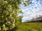 В 2022 году поезд Элиста-Ставрополь-Краснодар-Анапа запустят уже в апреле