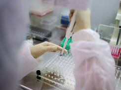В Анапе выявили ещё 3 случая коронавируса. Сводка на 1 июля