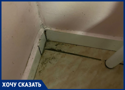 "Грязь и пыль": Анна Мамуркова возмущена условиями в Детской городской больнице Анапы 