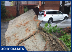 В Анапе на улице Самбурова повалена сосна, разворочен бетон, а во двор нельзя въехать