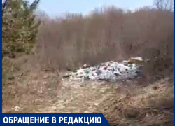 «За свалки на природе надо жестко наказывать» – анапчанка возмущена мусором в лесу