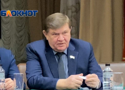 Депутат Совета Анапы Александр Смирнов потерял в доходах и не приобрел имущества