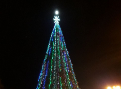 Найди Луну на снимке с елкой