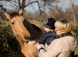 Спеши делать добро