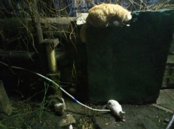 Срочно! Нужна помощь!!!!