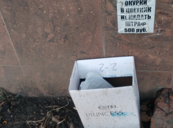 Дым сигарет с ментолом…