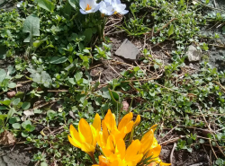 В Анапе весна!!!