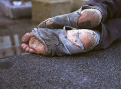 Чем заняты санитарные и социальные службы города?