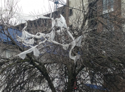 Чудо-дерево в Детском парке