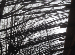 Помогите куда можно позвонить? 