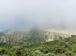 Пожар на Утрише