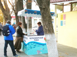  В Анапе сезон хамсы - в разгаре!
