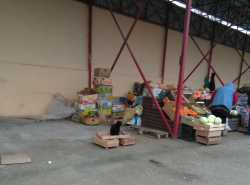 На Восточном рынке кошка продаёт мандарины)))