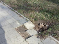 На улице Краснодарской тротуар как будто после бомбёжки
