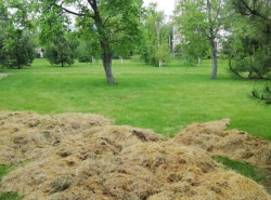В "Ореховой роще" проводили субботник, а мусор остался