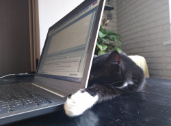 Да работайте, работайте. Я ж не мешаю