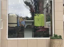 Продается кот