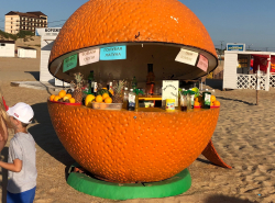 Скоро апельсины с  пляжей исчезнут