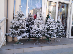 Так вот как выглядит снег!