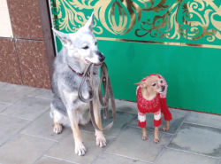 Кто кого охраняет? Не понятно!