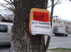 В Анапе животных и любят, и уважают!